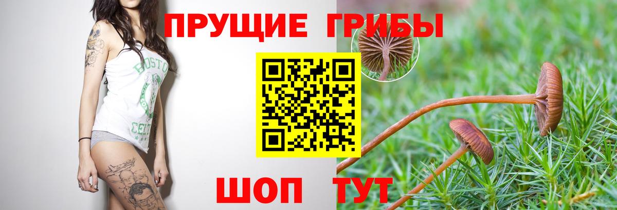 Галлюциногенные грибы MAGIC MUSHROOMS Нальчик